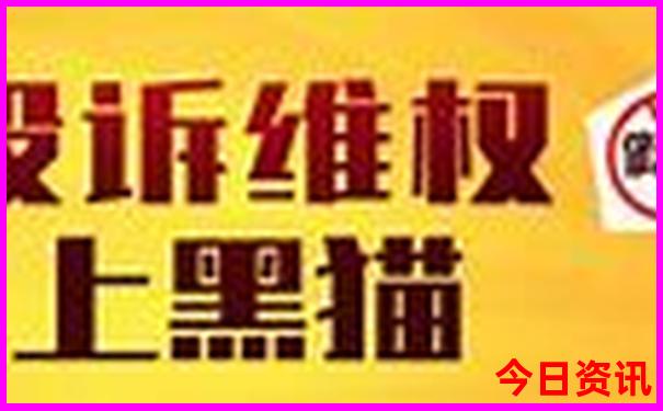 表的排行榜前十名