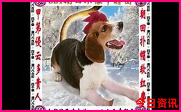 丽水避暑胜地哪里最好